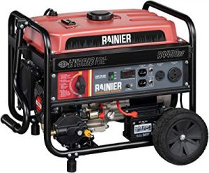 Rainier dual fuel generator