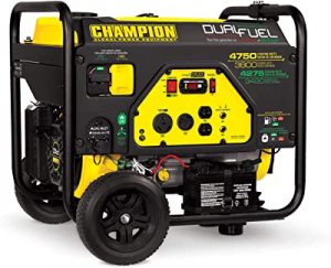 Champion Power Equipment 76533 3800-Watt Dual Fuel RV Ready Portable Generator